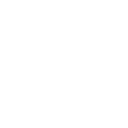 Github icon